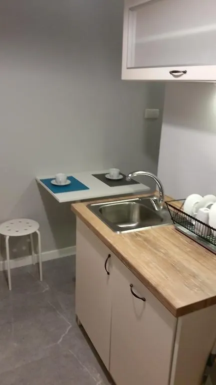 公寓 Apartament Dworska 33 格但斯克